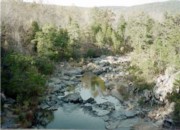 Mark Twain National Forest